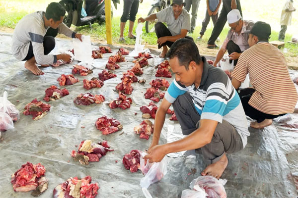 Satu Dekade Berqurban, Menebar Keberkahan1