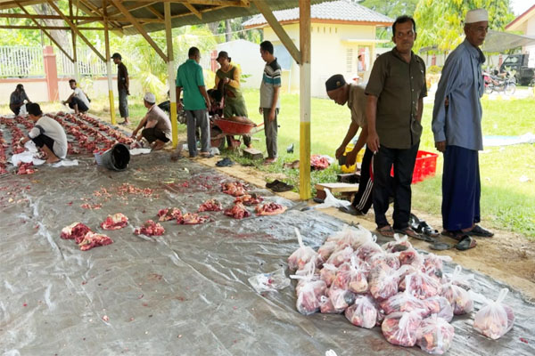 Satu Dekade Berqurban, Menebar Keberkahan2